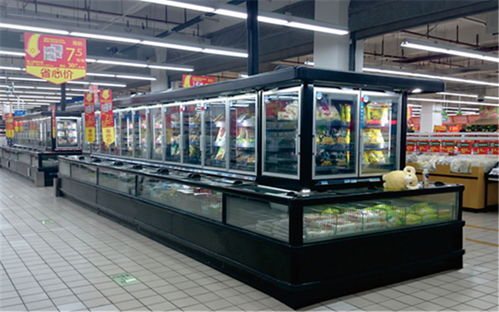 廣東冷凍柜廠家 比斯特專業(yè)冷凍柜 熟食冷凍柜廠家直銷高清圖片 高清大圖