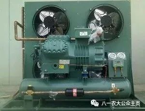 報(bào)考八一農(nóng)大的十大選擇之二 你是王者,也是榮耀